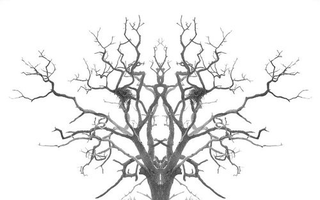 Illustration for article titled Shooting Challenge Rorschach Gallery